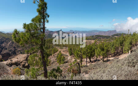 Spain, Europe, San Bartolome de Tirajana, Gran Canaria, Canary Islands, view from, Pico de las Nieves, landscape, forest, wood, Stock Photo