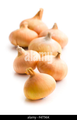 raw onions on white background Stock Photo