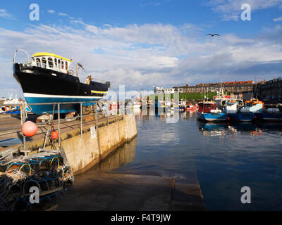 Boat on the Quayside and Boats in the Harbour at Seahouses at Sunset Northumberland England Stock Photo