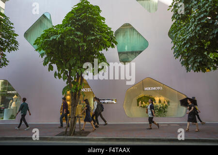 Japan, Tokyo City, Ginza Area, Street Stock Photo