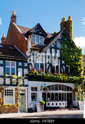 Europe, UK, England, London, Kew Green Greyhound pub Stock Photo