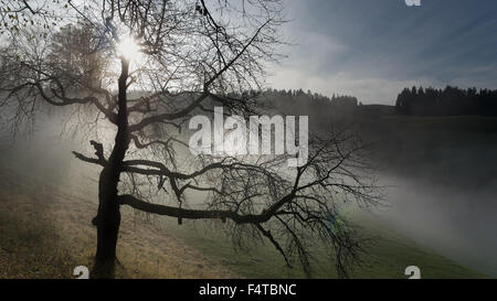 The sun and fog in Trachselwald Stock Photo