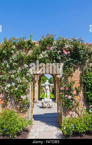 England, Kent, Hever, Hever Castle, The Rose Garden Stock Photo