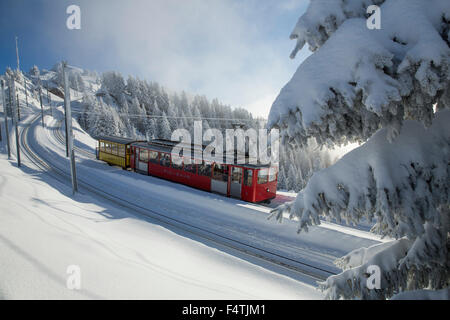 Railway to Rigi near Rigi Staffel, Stock Photo