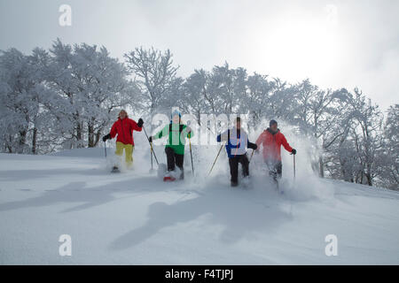 snow shoe walking on Hörnli over Tösstal, Stock Photo
