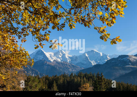 Beatenberg, Switzerland, canton Bern, Bernese Oberland, vantage point, vista, mountains, Eiger, monk, Jungfrau, autumn Stock Photo