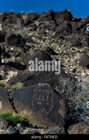 petroglyph, national monument, Albuquerque, new Mexico, USA, America, historical Stock Photo