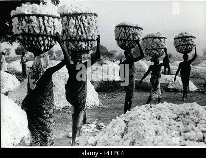 1963 - A carrying part these women from Maroua/Northern Kamerun are playing. On the large cotton fields the harvest is nearly done. To do this work not machines are used, the cotton is picked up only with hands and carried in big baskets to the collecting point. Light-footed and playful, the women walked and balanced the heaviest sumpters on their heads; nevertheless it is a hard work they do during the day. (Credit Image: © Keystone Pictures USA/ZUMAPRESS.com) Stock Photo