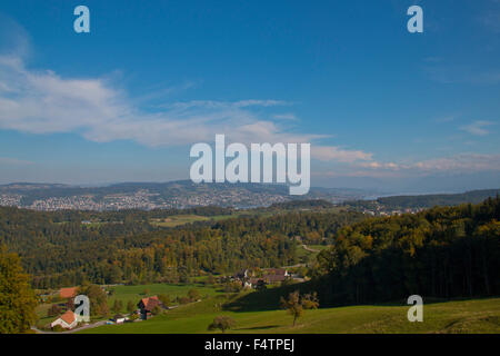 Switzerland, Europe, canton Zurich, Albis, wood, forest, Sihlwald, farms, Zurich lake, Gold Coast Stock Photo