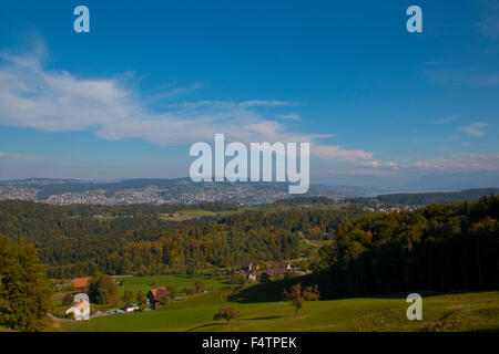 Switzerland, Europe, canton Zurich, Albis, wood, forest, Sihlwald, farms, Zurich lake, Gold Coast Stock Photo