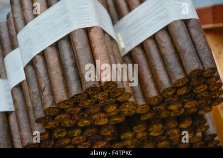 Moody, artistic and nostalgic view of Hand rolled Cuban cigars bundled and stacked in cigar factory store window Stock Photo
