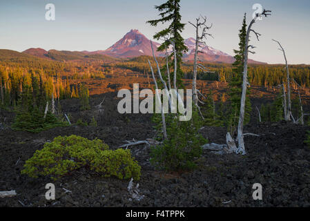 USA, Oregon, Lane County, Willamette, National Forest, lava field and Sisters Mountains at McKenzie Pass Stock Photo