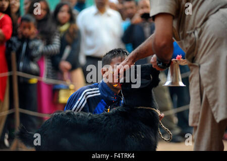 Kathmandu, Nepal. 22nd Oct, 2015. Nepalese army personnel offering puja before slaughter a goat on the occasion of Navami, 9th day of Dashain Festival at Basantapur Durbar Square, Kathmandu. Dashain is the most auspicious and biggest celebrated festival in Nepal, which reflects age old traditions and the devotion of the Nepalese towards Goddess Durga. Credit:  Narayan Maharjan/Pacific Press/Alamy Live News Stock Photo