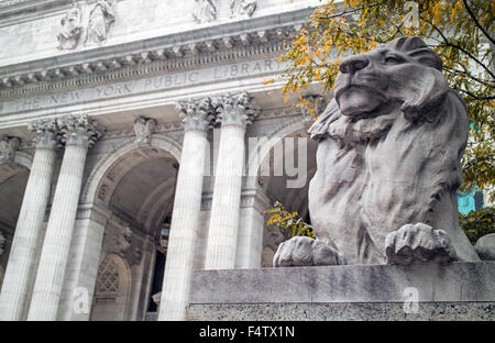 Lion Statue New York Public Library Manhattan Stock Photo