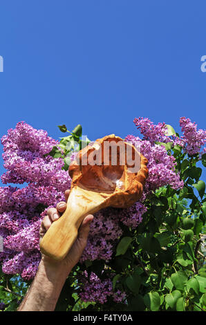 Carved handmade decorative wood spoon near lilac tree. Stock Photo