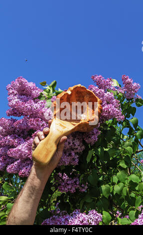 Carved handmade decorative wood spoon near lilac tree. Stock Photo