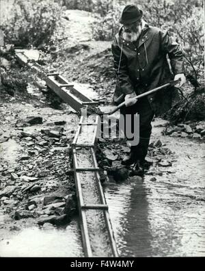 1952 - The last of the Goldiggers.: Living the life of hermits in the open country of Finnish Lapland there are still a few men who can call themselves goldiggers. Fifty-five year old Nipa Eaumala is one such man. He has been panning his claim since the 1940's and once guided the President of Finland through the mountains and rivers that are his home. At Lemmenjoki Nipa and nine others have their log cabin homes, which they leave only twice a year to get supplies from the town of Enare. The land they pan is rich in gold and a thousand kilos has been found twenty kilos since 1945 and is now the Stock Photo