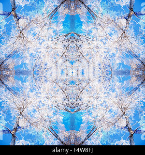 Symmetrical pattern in shades of blue, to the background or poster. The pattern created from a photo of a trees. Abstracts. Deco Stock Photo