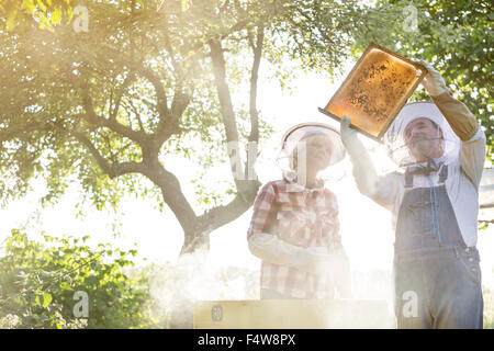 Beekeepers in protective hats examining bees on honeycomb Stock Photo