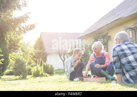 Grandparents and grandson eating harvested strawberries in sunny yard Stock Photo