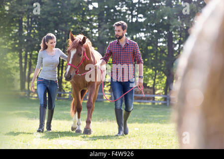 Couple walking horse in rural pasture Stock Photo