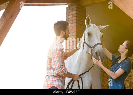 Couple petting horse in rural stable Stock Photo