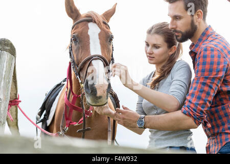 Couple adjusting bridle on horse Stock Photo