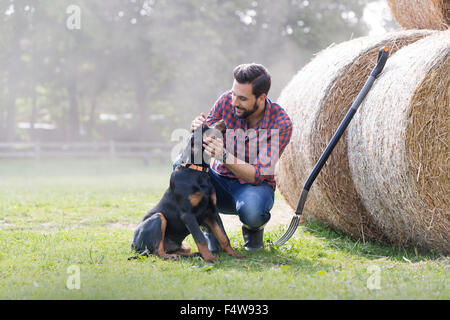 Man petting dog next to rolled hay bales Stock Photo