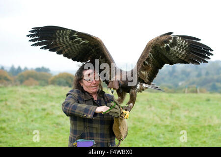 female falconer with eagle Stock Photo