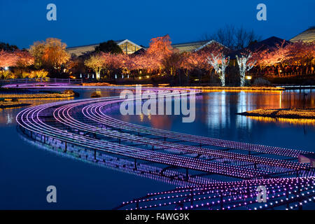 Nabana no Sato winter illumination. Stream of lights across the pond. Attractions of Nagoya. Stock Photo