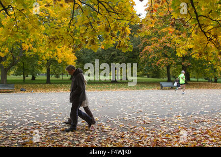 London, UK. 23rd Oct, 2015. Autumn colours in Hyde Park Credit:  amer ghazzal/Alamy Live News