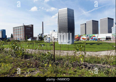 Sept. 10, 2015 - Rotterdam, Netherlands - The international famous Dutch designer Daan Roosegaarde launched his Smog Free Project in Rotterdam, the Netherlands. The Smog Free Project creates clean urban skies and creates Smog Free Rings. .In some cities, this pollution is visible. In others, air pollutants and smog may be invisible, but the impact on our daily lives and health is very real. The Smog Free Tower produces smog-free bubbles of public space, allowing people to breathe and experience clean air for free. The first 7 meter high Smog Free Tower cleans 30.000m3 of air per hour of ultra- Stock Photo