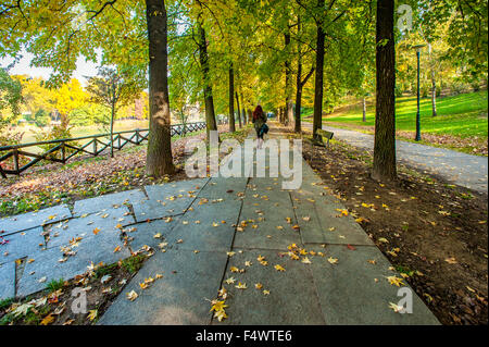 Italy Piedmont Turin 23th October 2015 Autumn in Valentino Park Credit:  Realy Easy Star/Alamy Live News Stock Photo