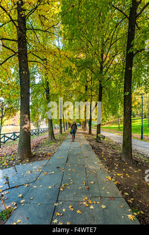 Italy Piedmont Turin 23th October 2015 Autumn in Valentino Park Credit:  Realy Easy Star/Alamy Live News Stock Photo