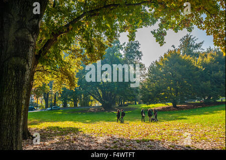 Italy Piedmont Turin 23th October 2015 Autumn in Valentino Park Credit:  Realy Easy Star/Alamy Live News Stock Photo