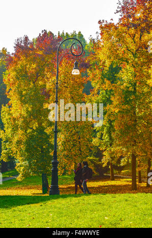 Italy Piedmont Turin 23th October 2015 Autumn in Valentino Park - Credit:  Realy Easy Star/Alamy Live News Stock Photo