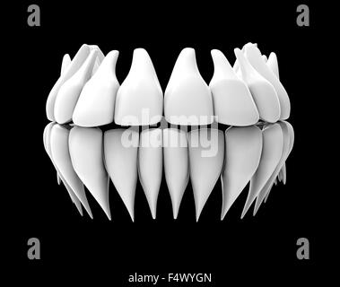 image of white teeth isolated on black Stock Photo
