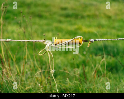 Detail of electric fence in field Stock Photo