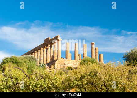 The greek temple of Juno behind almond trees in the Valley of the Temples of Agrigento