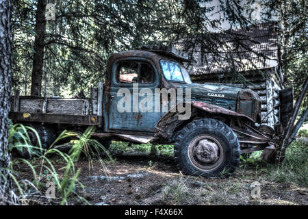 A rusting, old truck sits in the middle of a forest near Anchorage alaksa Stock Photo