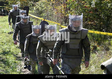 Travnik, Bosnia-Herzegovina (BiH). 23rd Oct, 2015. Soldiers head to mine field to demine in village Cifluk, near Travnik, Bosnia-Herzegovina (BiH), on Oct. 23, 2015. There are some 130,000 undiscovered land mines in BiH as a reslut of 1990s Bosnia War. BiH plans to finish demining work by 2019. Credit:  Haris Memija/Xinhua/Alamy Live News Stock Photo