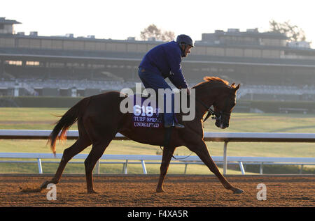 Lexington, KY, USA. 23rd Oct, 2015. October 23, 2015: Undrafted, trained by Wesley Walker, and owned by Welker, Wes, and Kumin, Sol. Candice Chavez/ESW/CSM/Alamy Live News Stock Photo