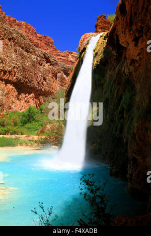 Havasu falls in the Havasupai region of the grand canyon in Arizona Stock Photo