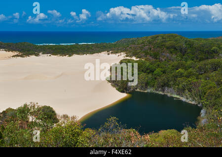 Lake Wabby in the dunes of Fraser Island. Stock Photo