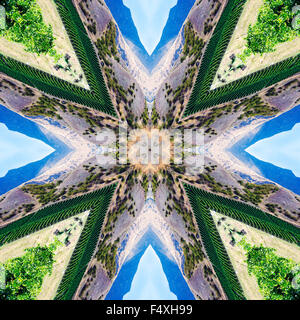 A kaleidoscopic image of a vineyard in New Zealand Stock Photo