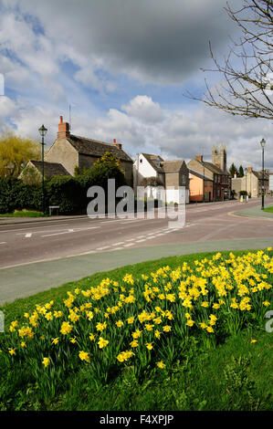 Daffodils beside the High Street in Cricklade, looking towards St Sampson's church. Stock Photo