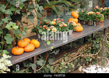 Halloween decoration decor flower shop stand with vine, little pumpkins and roses in a narrow alleyway in Paris, France Stock Photo