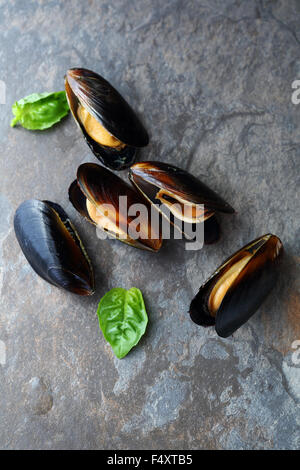 Fresh mussels on gray rock, top view Stock Photo