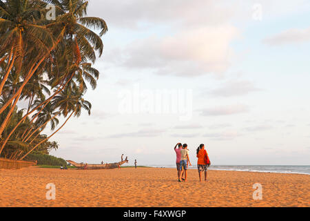 Traditional boat on the sandy beach, bordered by palm trees, in the evening light, Wadduwa, Western Province, Indian Ocean Stock Photo