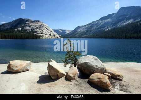 Tenaya Lake, Yosemite National Park, California, USA Stock Photo